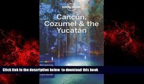 Read books  Lonely Planet Cancun, Cozumel   the Yucatan (Travel Guide) BOOOK ONLINE