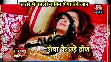 Naagin Season 2 SHESHA KI LAG GAI WATT 20 November 2016