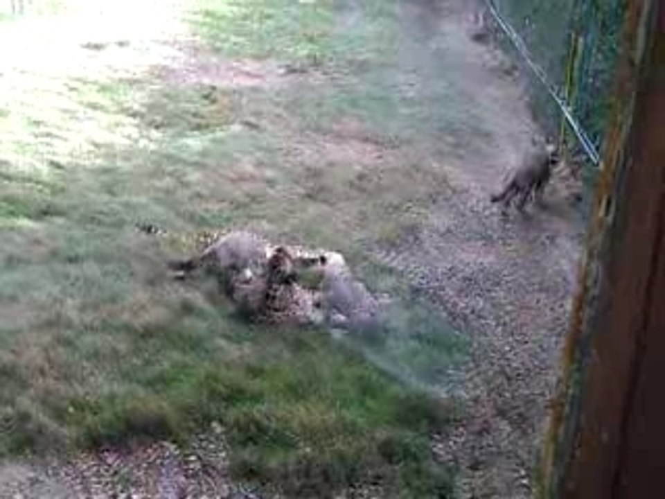 CLIP0216