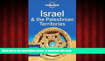 Read book  Lonely Planet Israel   the Palestinian Territories (Travel Guide) BOOK ONLINE