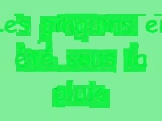 Les pinguins sous la pluie_0001