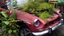 Abandoned Cars In Philippines 2016. Deserted Vehicles 2016. Abandoned Cars In Forgotten Junkyard