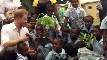Prince Harry plants tree for Arbor Day fair in Antigua