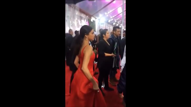 Selena Gomez - American Music Awards 2016 (Red Carpet)
