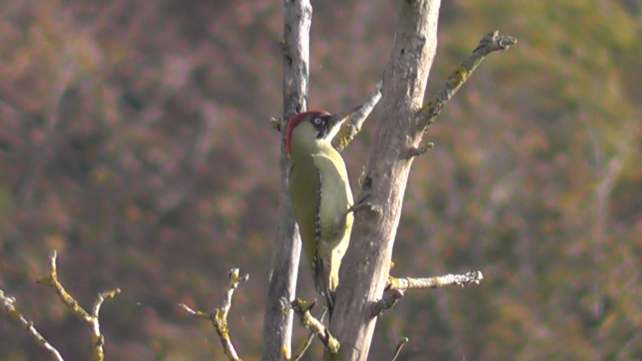 Franche-Comté, une vraie Nature (2)