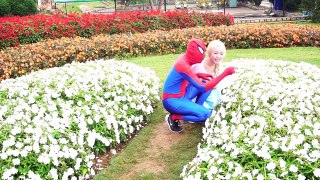 Spiderman Frozen Elsa Anna Prank in Pool vs Joker Harley Quinn Superman Hulk Superhero in real life - dailymotion