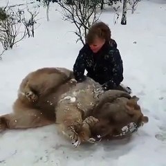 Mieux qu'un gros nounours en peluche, un nounours en vrai!