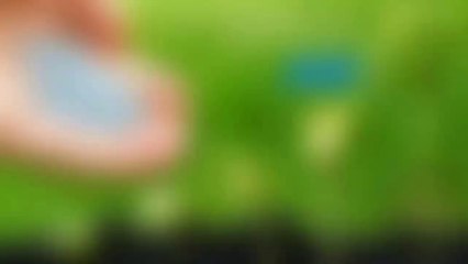 Kisaan Kranti- Online Agricultural Marketplace