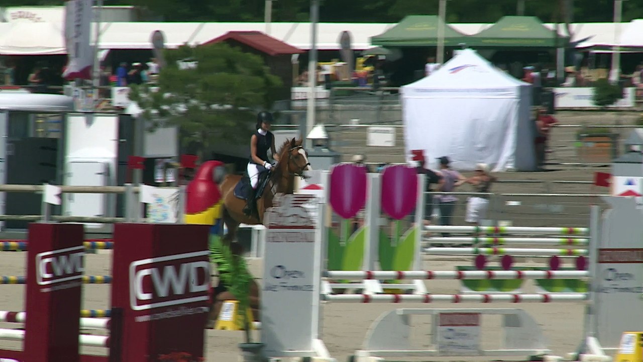 Championnat de France 2016 - Elite excellence junior - CS0 2/2