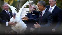 Barack Obama celebra su último Día de Acción de Gracias