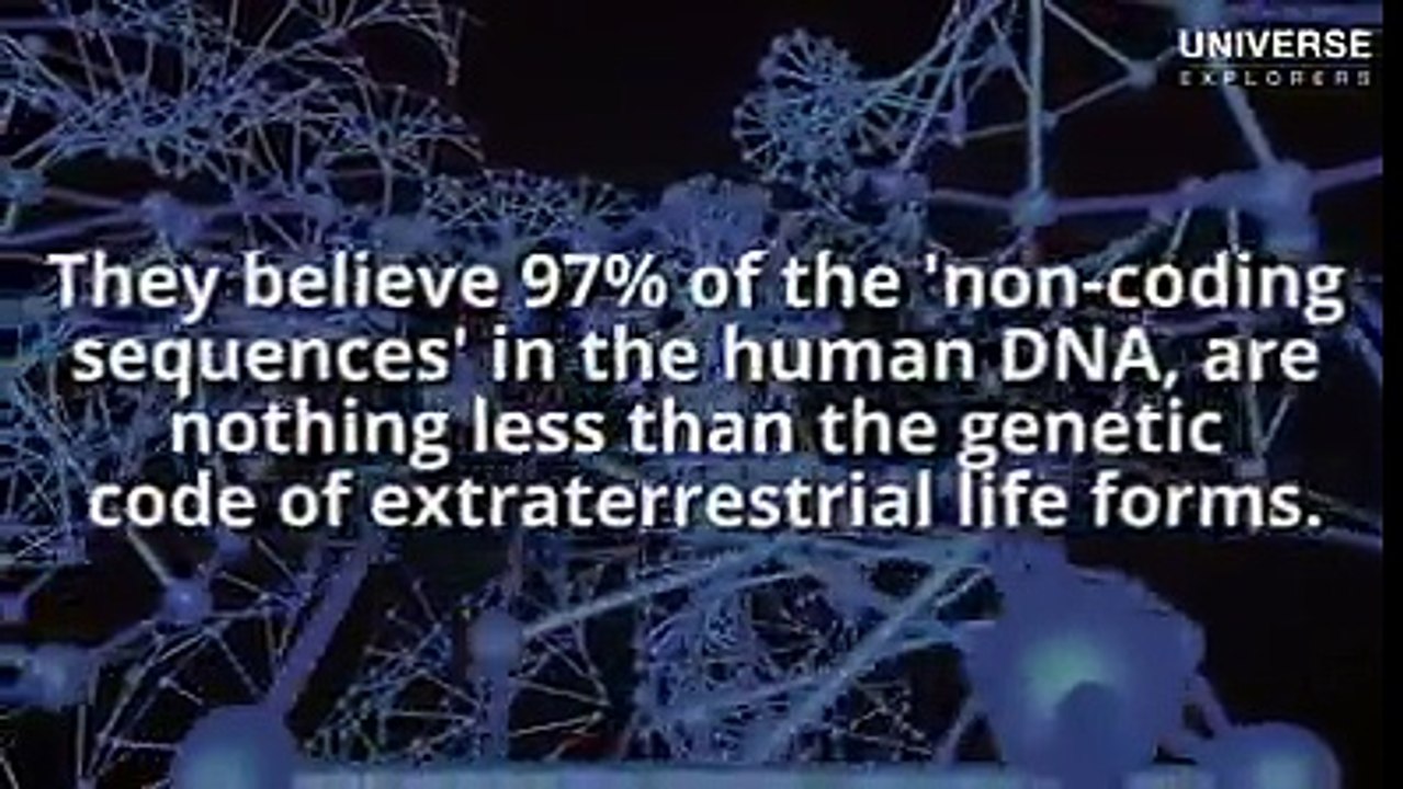 Human DNA are extraterrestrial