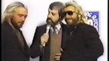 The Fabulous Ones promo