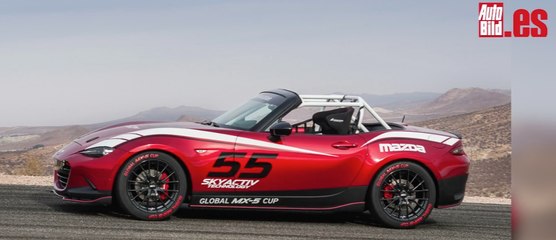 VÍDEO: Cinco coches que se merecen más potencia