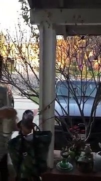 Il s’amuse à rendre sa mère folle en lui faisant des blagues toute la journée