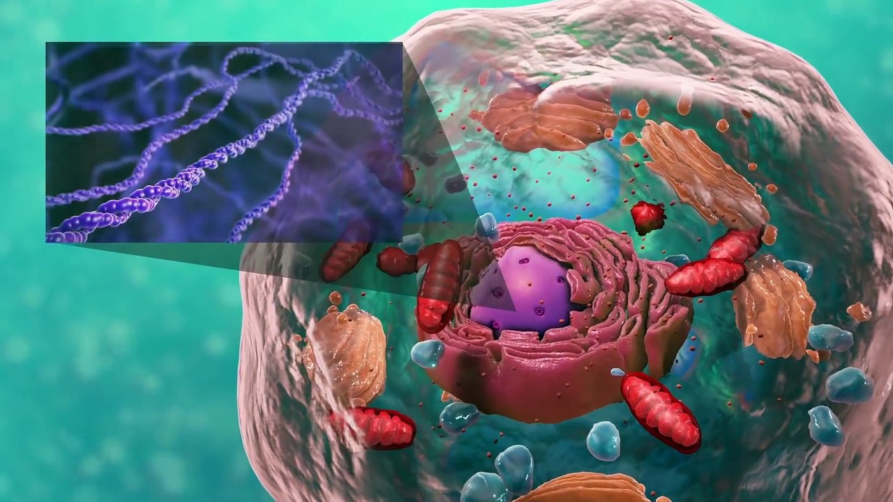 The Biological Cell: The World’s Most Sophisticated, Integrated, Self-Replicating Chemical Plant