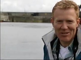 A labrador and a dolphin swim every day together