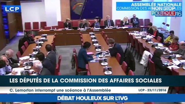 Débat sur l’IVG : les députés s’écharpent en commission à l’Assemblée nationale