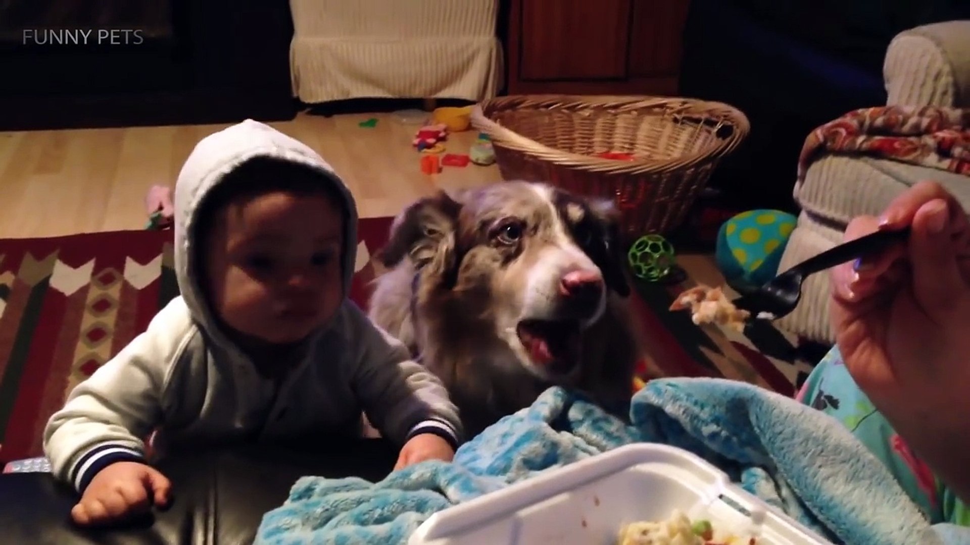 ⁣Funny Talking Dogs [Funny Pets]