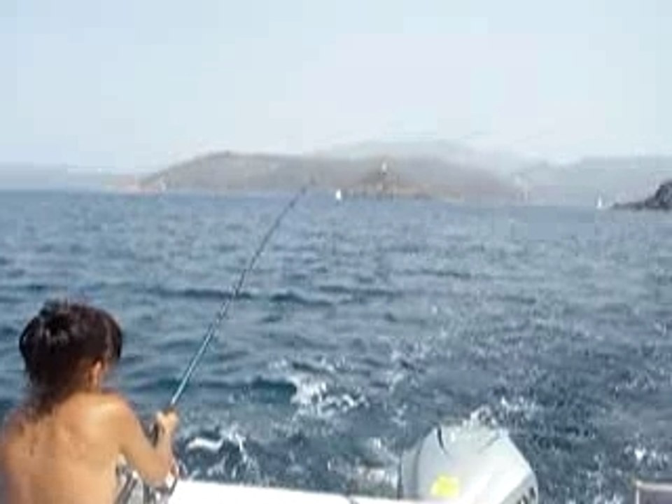 barracuda peche en corse ajaccio