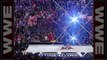 WWE OMG! Top 10 WrestleMania Moments Ever Video.  Including 5 Ladder Matches