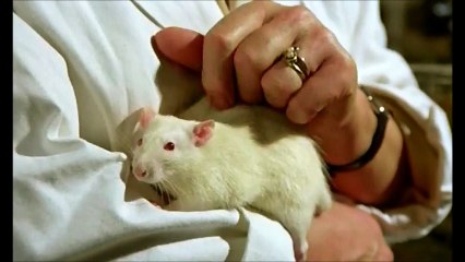 Cinéma étrange et bizarre, de Ygor Parizel VI