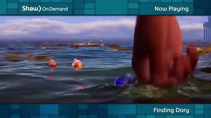 Finding Dory I Shaw on Demand I Shaw