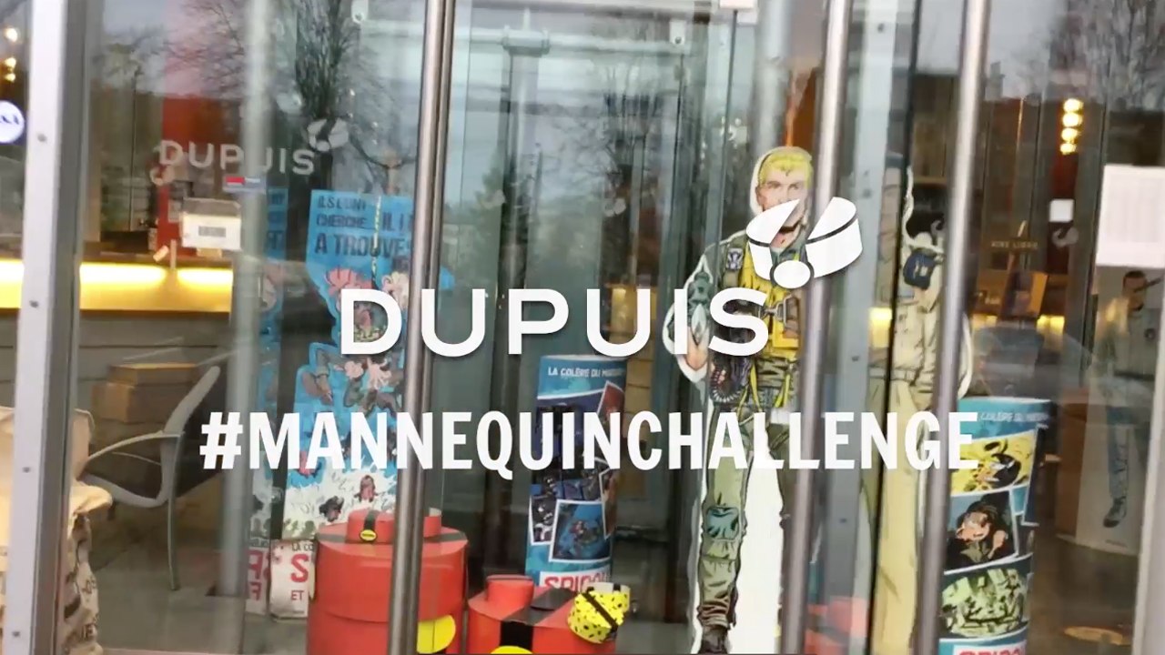 Mannequin Challenge