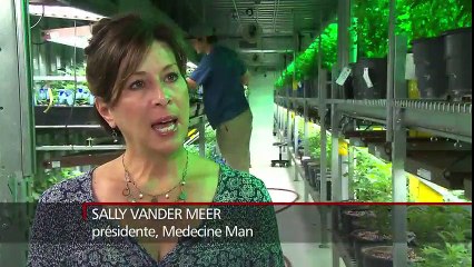 Légalisation du cannabis, l'expérience du Colorado (Novembre 2016) (FR)