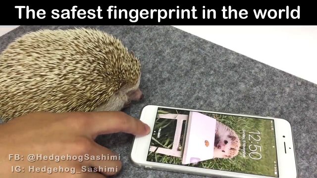 L'empreinte digitale smartphone la plus sûre au monde
