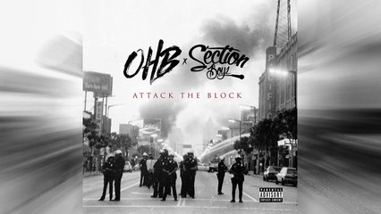 Chris Brown - Dolce ft. Young Blacc (Attack The Block)