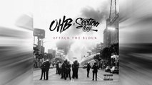 Chris Brown - Dolce ft. Young Blacc (Attack The Block)