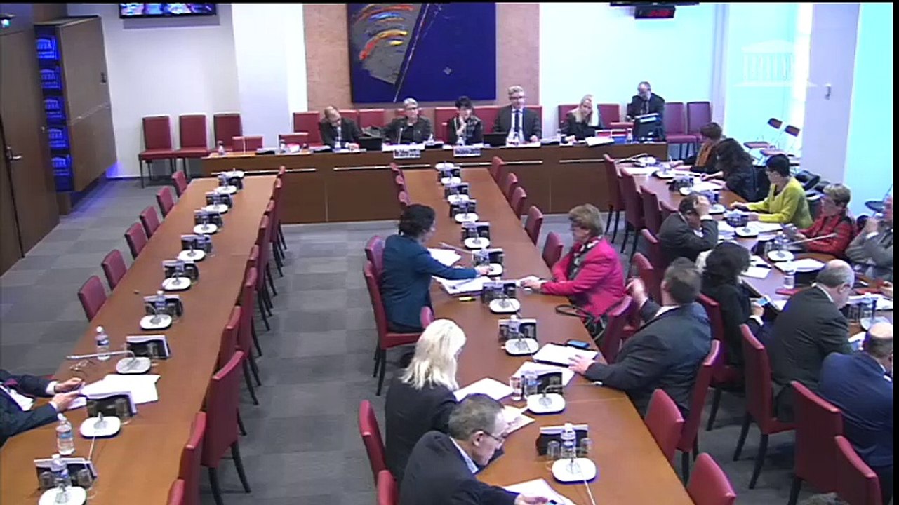 Proposition de loi sur le délit d'entrave à l'IVG