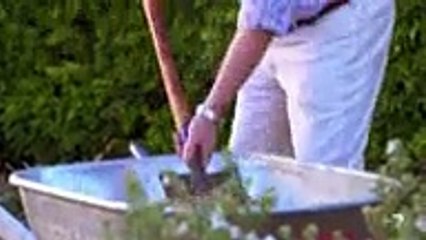 Home and Away 6558  24th November 2016