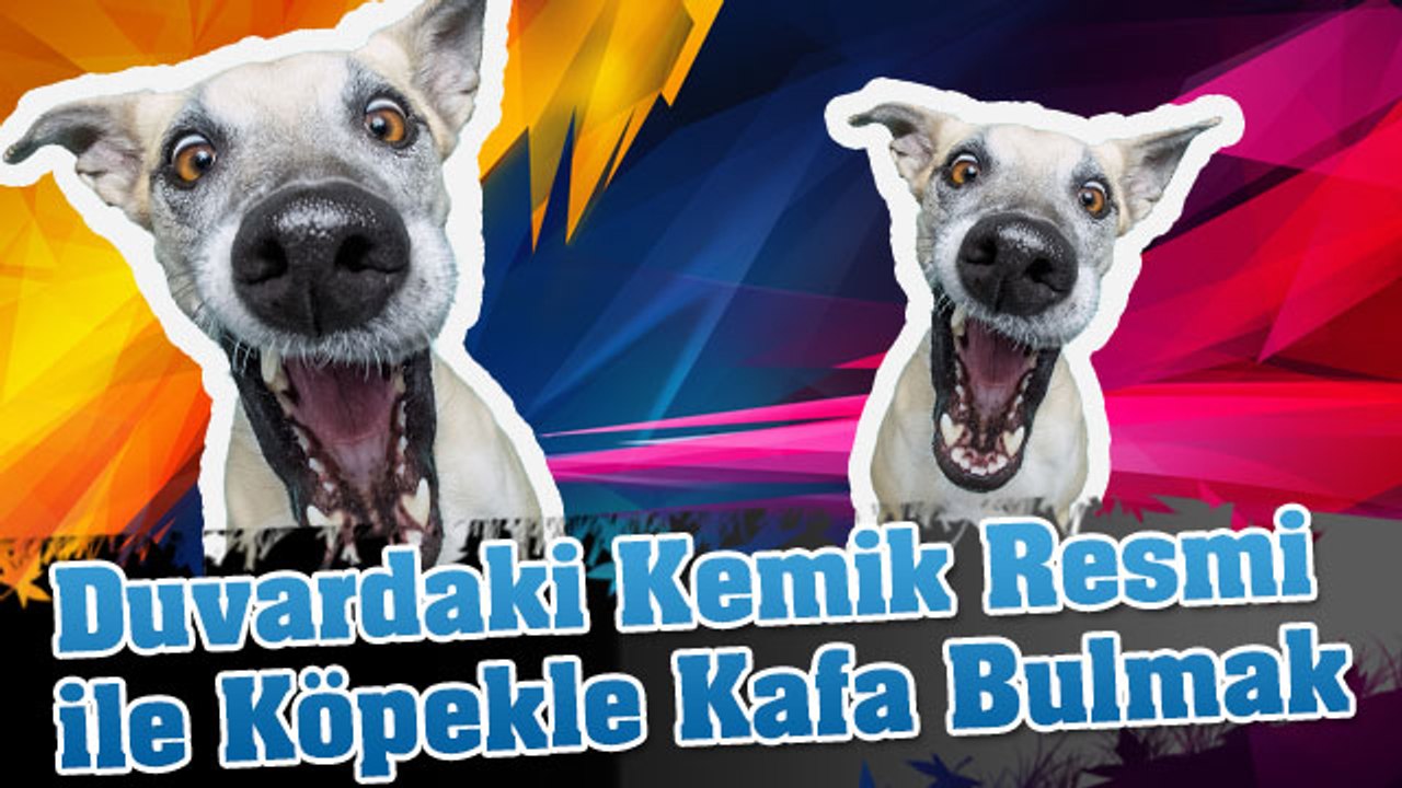 Duvardaki Kemik Resmi ile Köpekle Kafa Bulmak