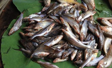 Amazing Street Market, Khmer Street Market, Asian Street Market, Cambodian Street Market #1