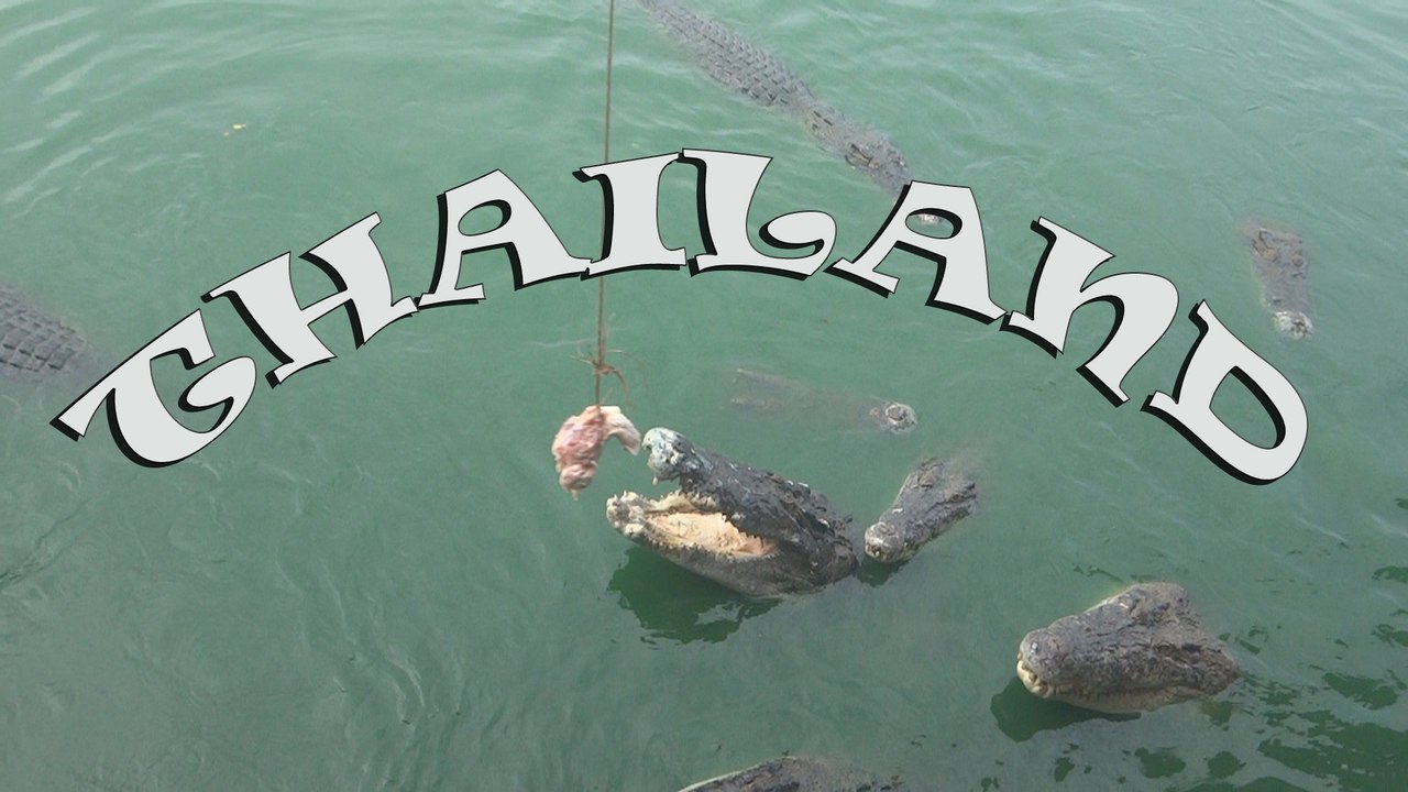 Таиланд Кормление крокодилов / Thailand Croco