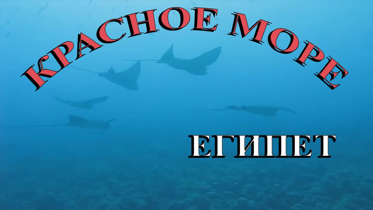 Египет Красное море / Egypt Red Sea