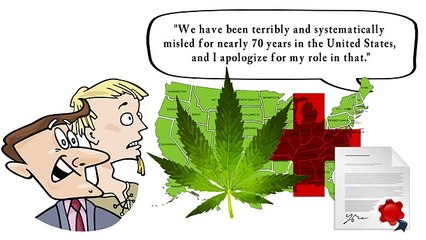 Endocannabinoid System Explained, What is CBD Good For?