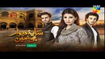 Saya e Dewar Bhi Nahi Episode 16 Promo HD HUM TV Drama 23 November 2016 - YouTube