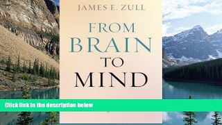Deals in Books  From Brain to Mind: Using Neuroscience to Guide Change in Education  Premium