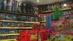 D!CI TV : Hautes-Alpes : le magasin de Lego de Gap, à pied d'oeuvre pour Noël