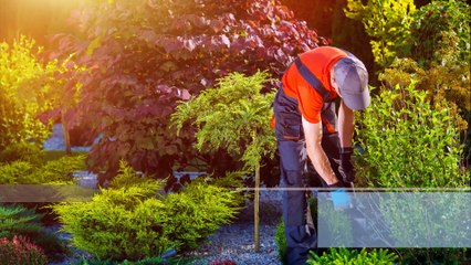 Army Ranger Landscaping, LLC - (850) 499-6477