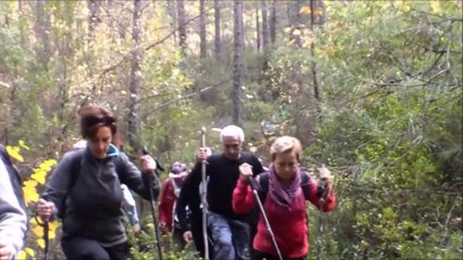 Roma Hamamları Yeniköy Parkuru