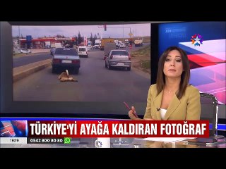 Türkiye'yi ayağa kaldıran tek kare fotoğraf