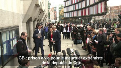 GB: prison à vie pour le meurtrier de la députée Jo Cox