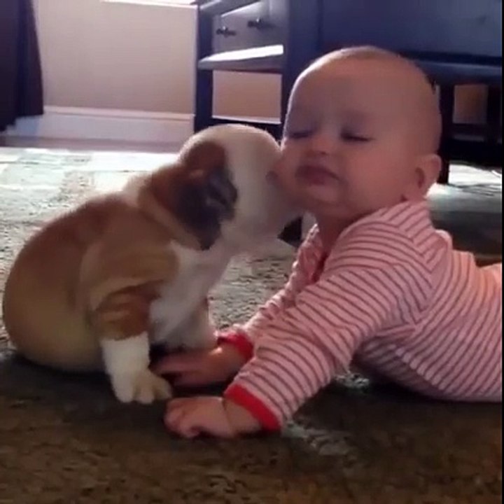 Cute dog with Cute Kid