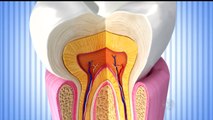 28/02/2016 SAUDE: ALIMENTO PARA OS DENTES