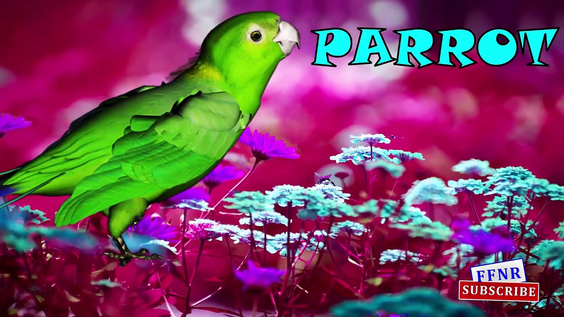 ⁣Domestic Names of Animals for Children | learning Domestic animals Names For Kids