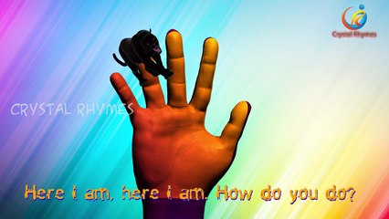 Black Cheetah Finger Family 3d Nursery children animated rhymes