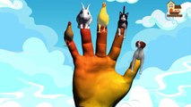3d animals finger family nursery kids english 3d rhymes | Animated children songs